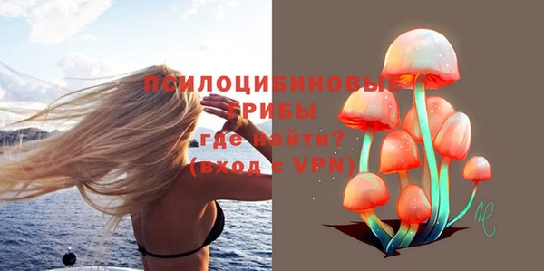 метадон Гусь-Хрустальный