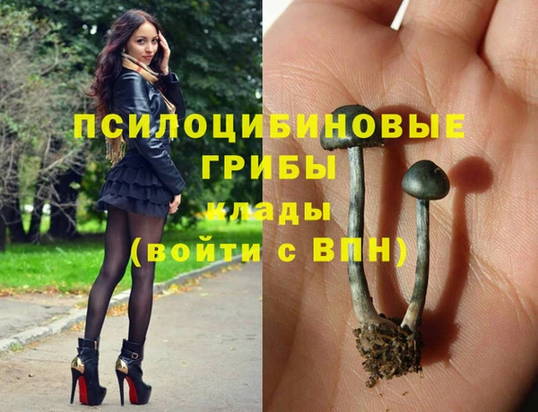 мяу мяу мука Гусев