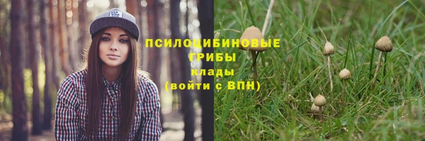 метадон Гусь-Хрустальный