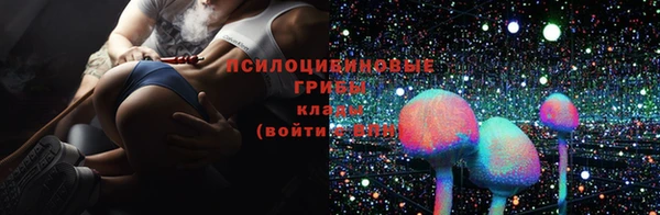 мяу мяу мука Гусев