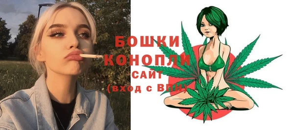метадон Гусь-Хрустальный